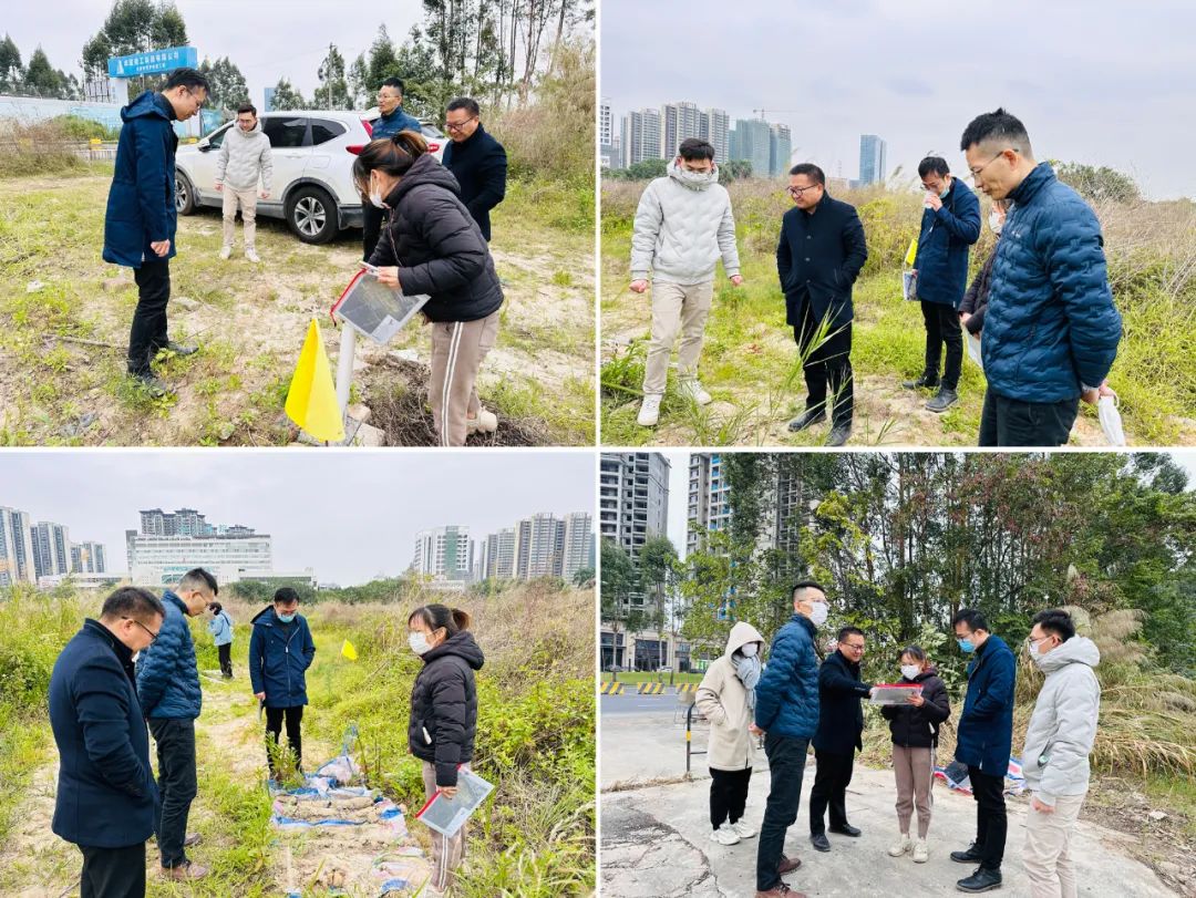 顺德区龙江镇一地块土壤调查通过专家评审会(图1)